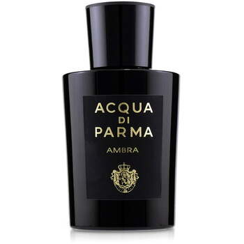 Ambra EDP